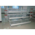 Chicken Layers Cage for Kenya